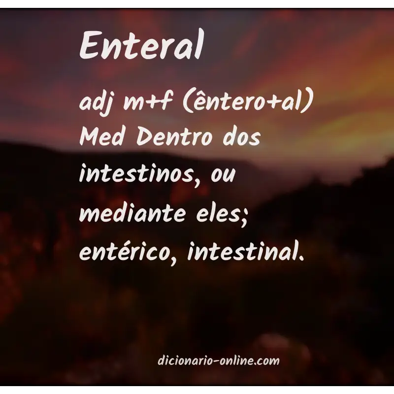 Significado de enteral