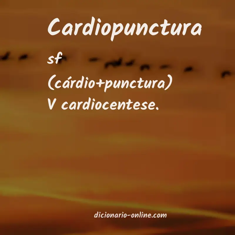 Significado de cardiopunctura