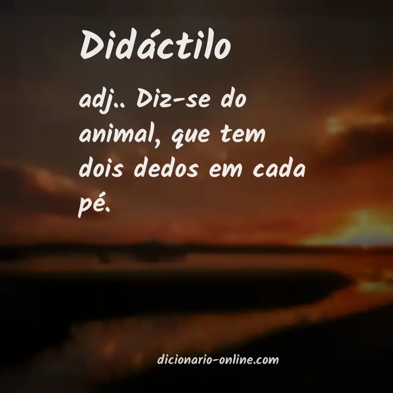 Significado de didáctilo
