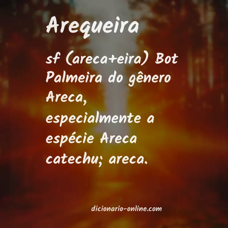 Significado de arequeira
