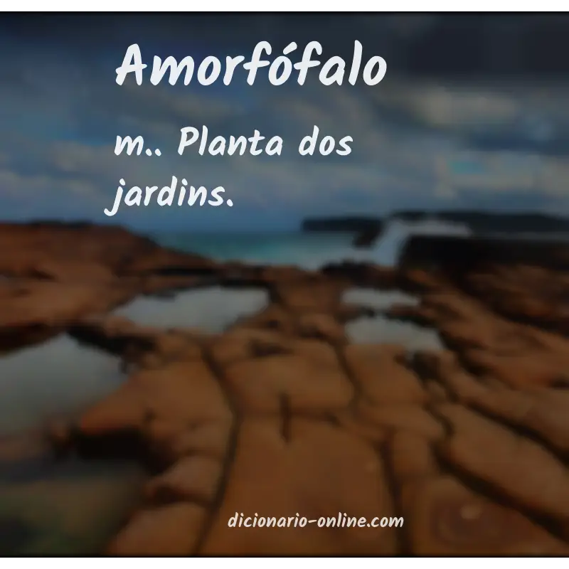 Significado de amorfófalo