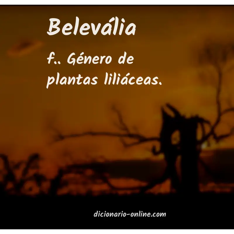 Significado de belevália