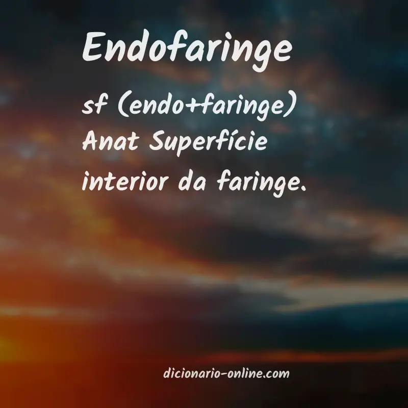 Significado de endofaringe