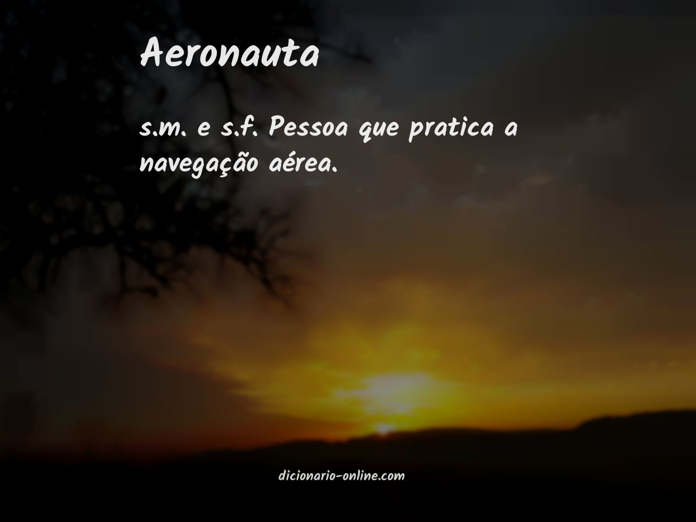 Significado de aeronauta