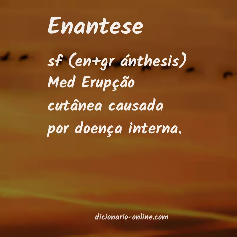 Significado de enantese