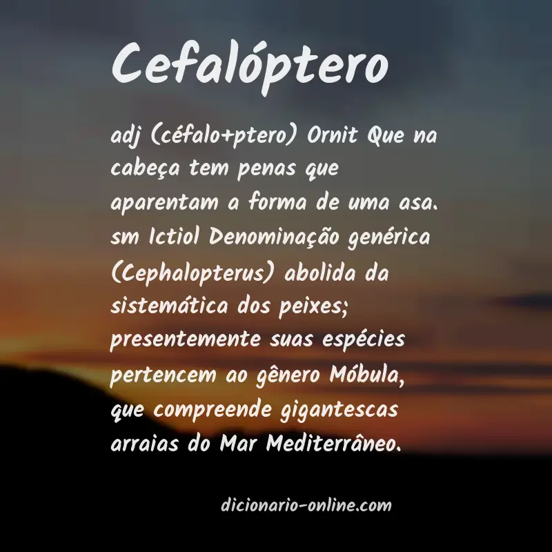 Significado de cefalóptero