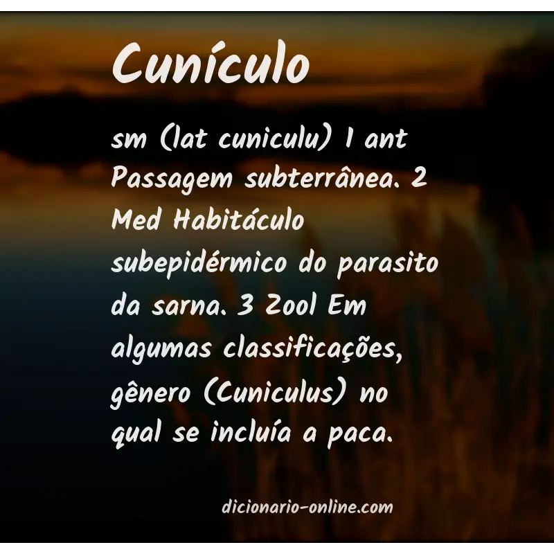 Significado de cunículo