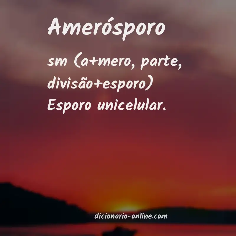 Significado de amerósporo