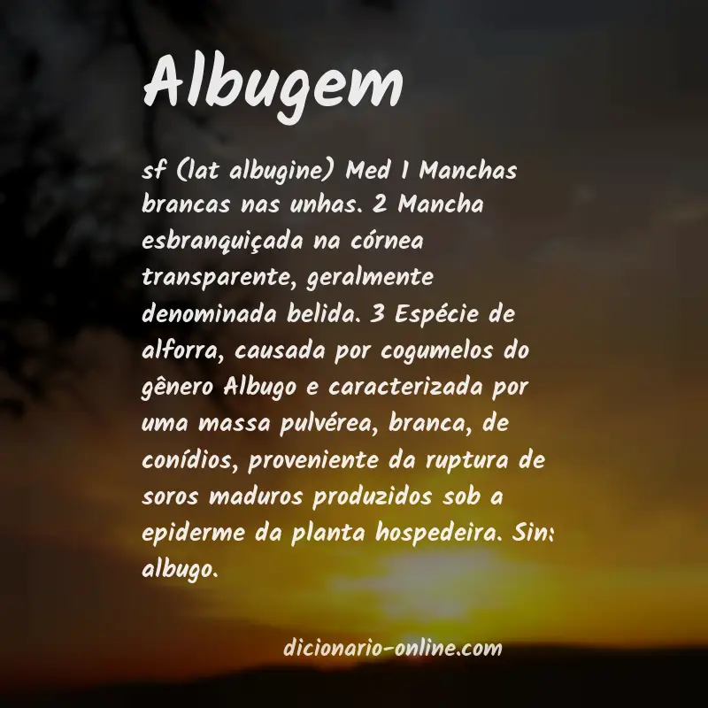 Significado de albugem