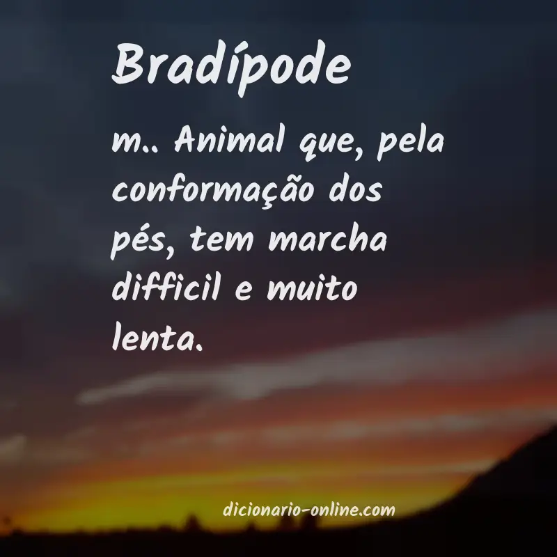 Significado de bradípode