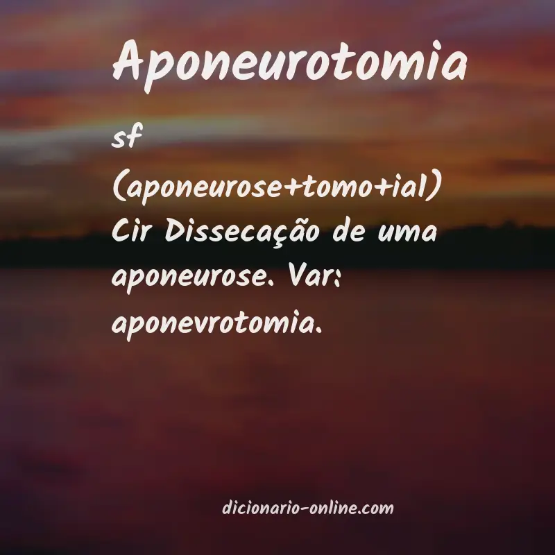Significado de aponeurotomia
