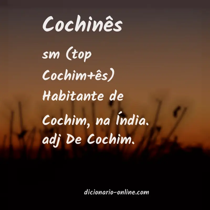 Significado de cochinês