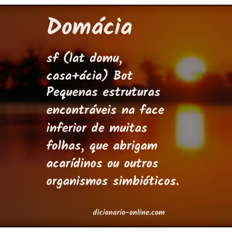 Significado de domácia