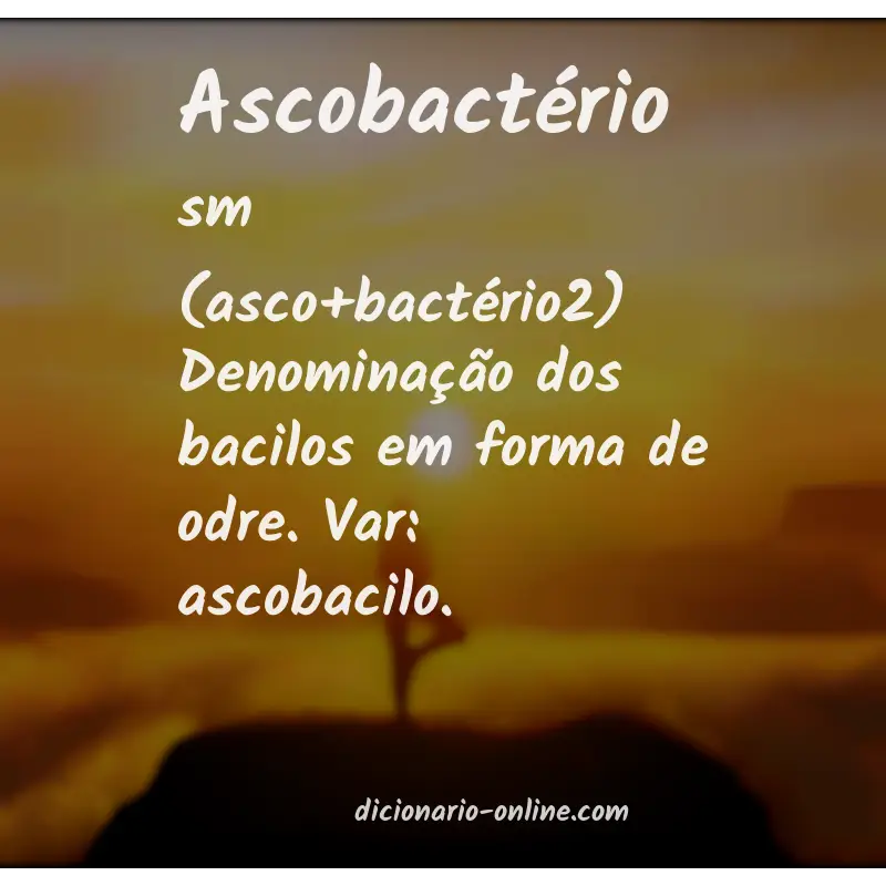 Significado de ascobactério