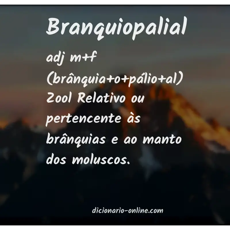 Significado de branquiopalial