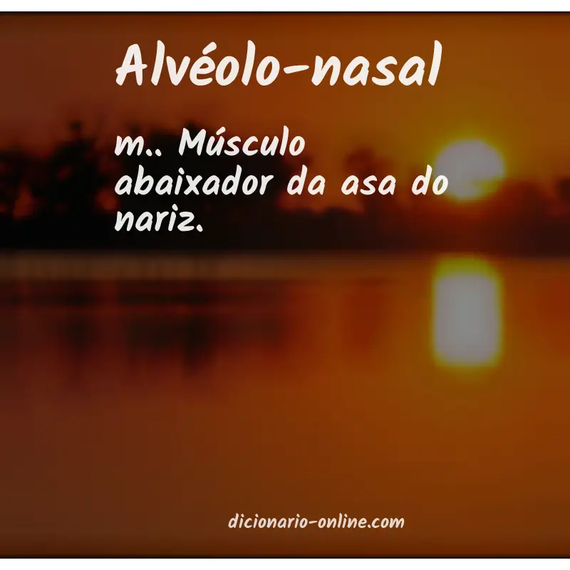 Significado de alvéolo-nasal