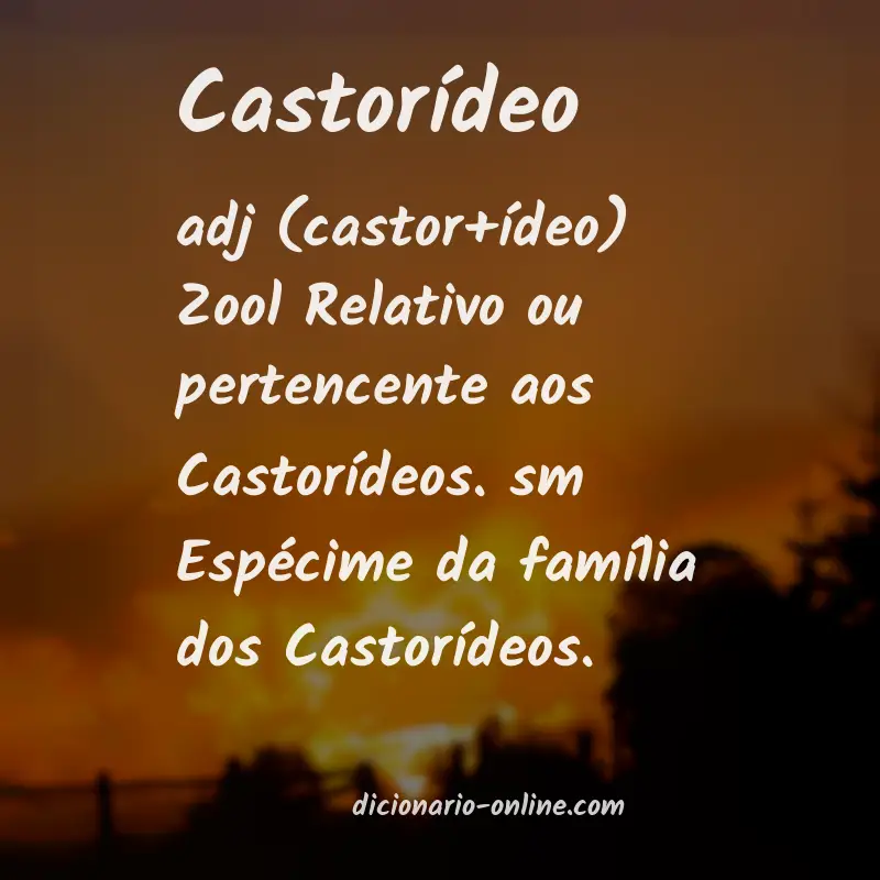Significado de castorídeo