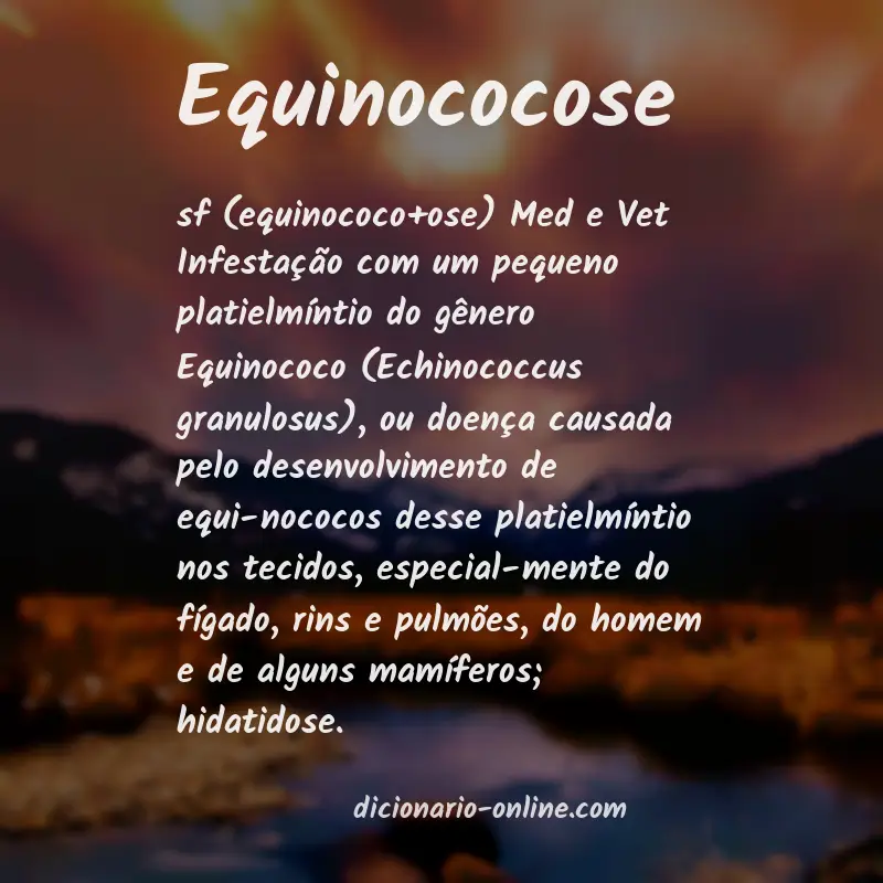 Significado de equinococose
