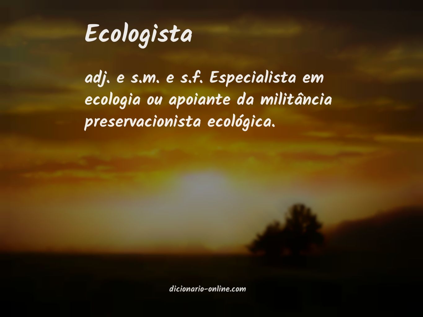 Significado de ecologista