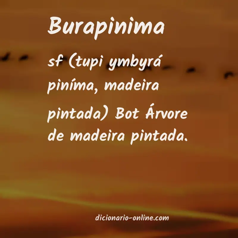 Significado de burapinima