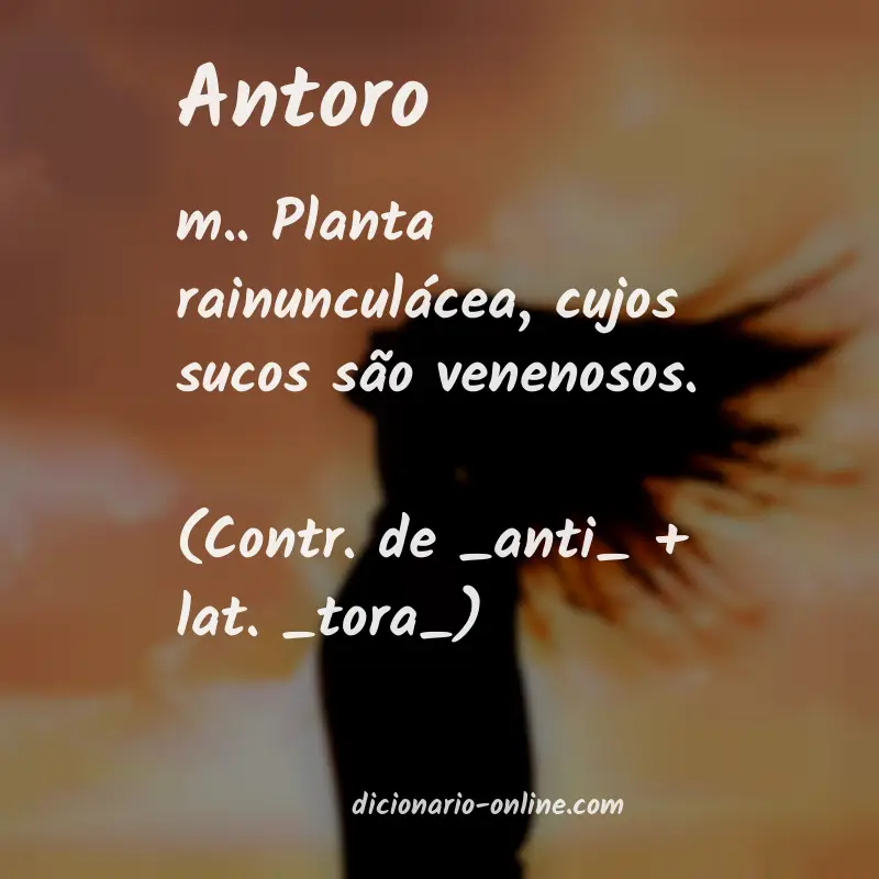 Significado de antoro