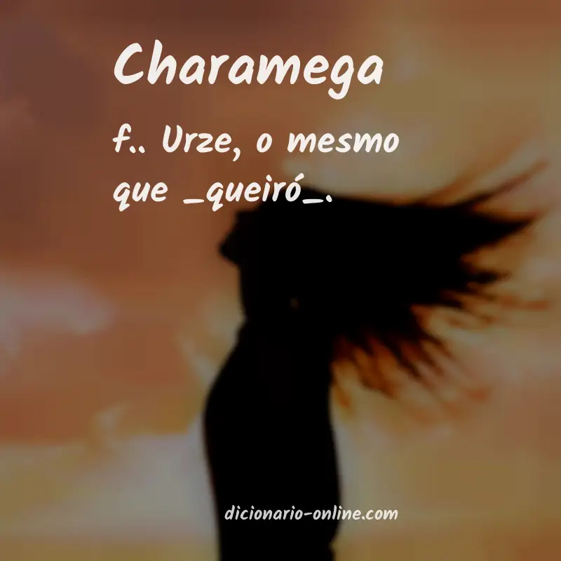 Significado de charamega