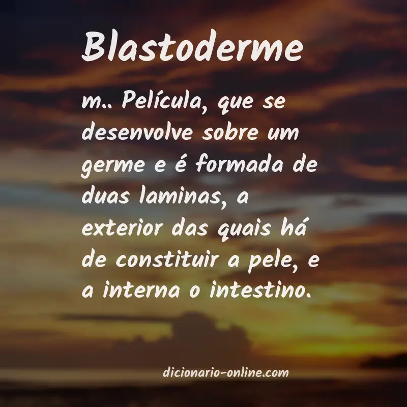 Significado de blastoderme