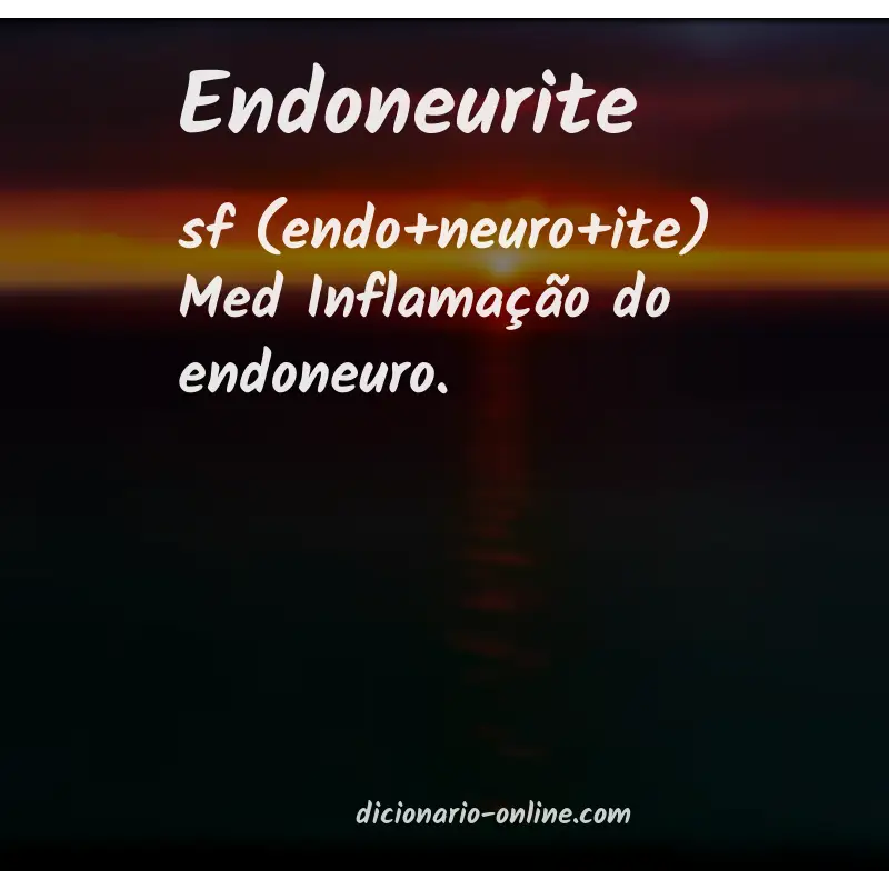 Significado de endoneurite