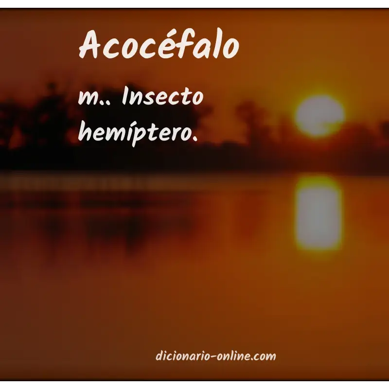 Significado de acocéfalo