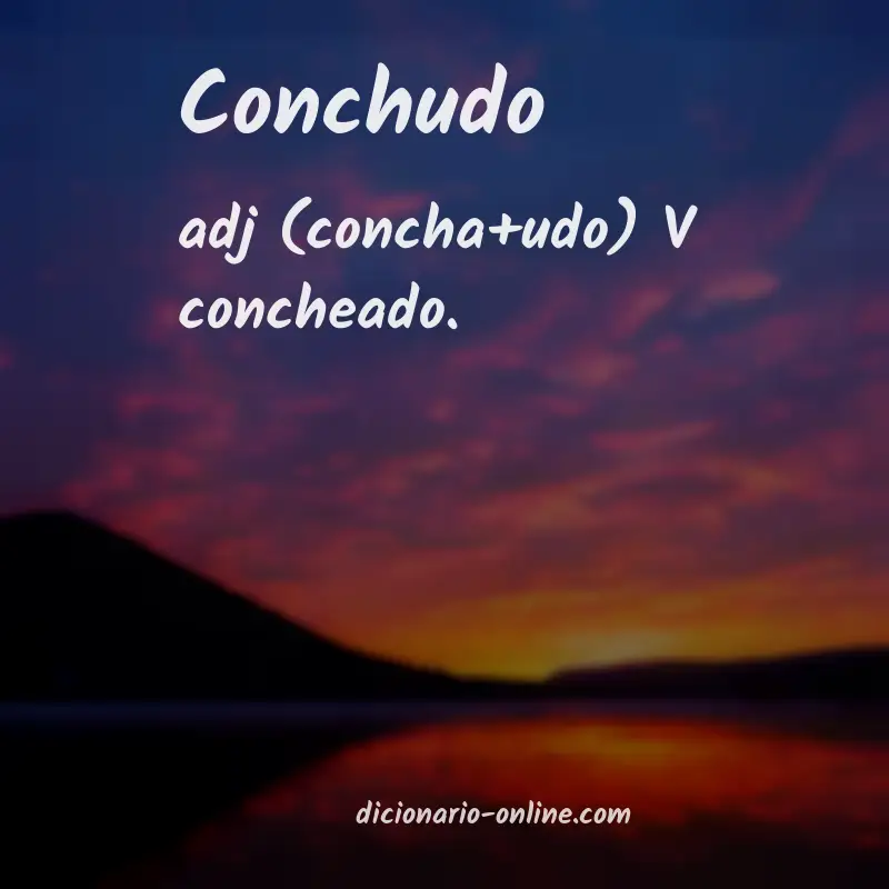 Significado de conchudo