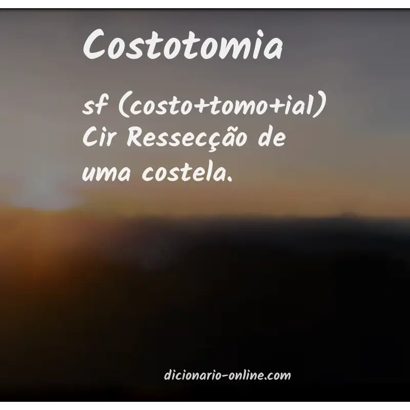 Significado de costotomia