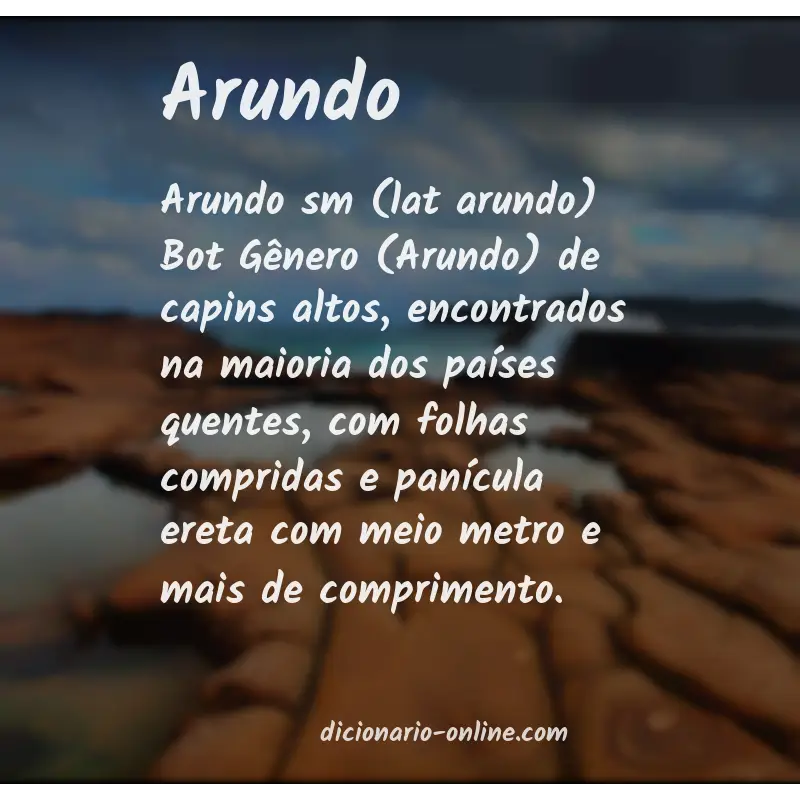 Significado de arundo