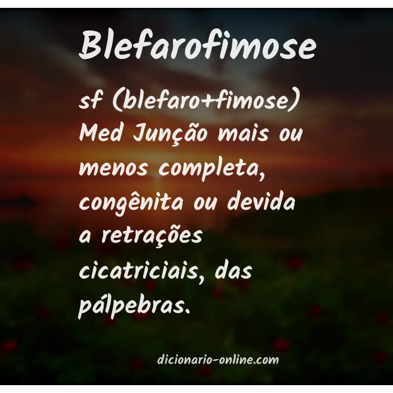 Significado de blefarofimose
