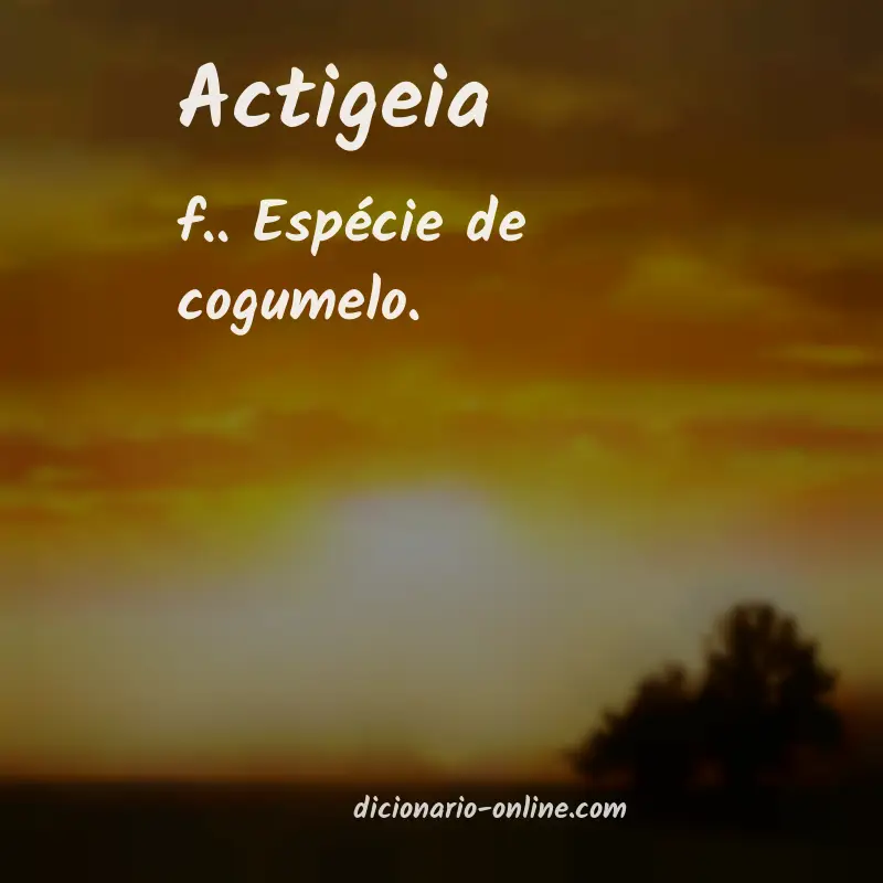 Significado de actigeia