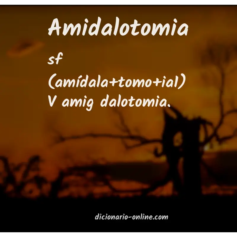 Significado de amidalotomia