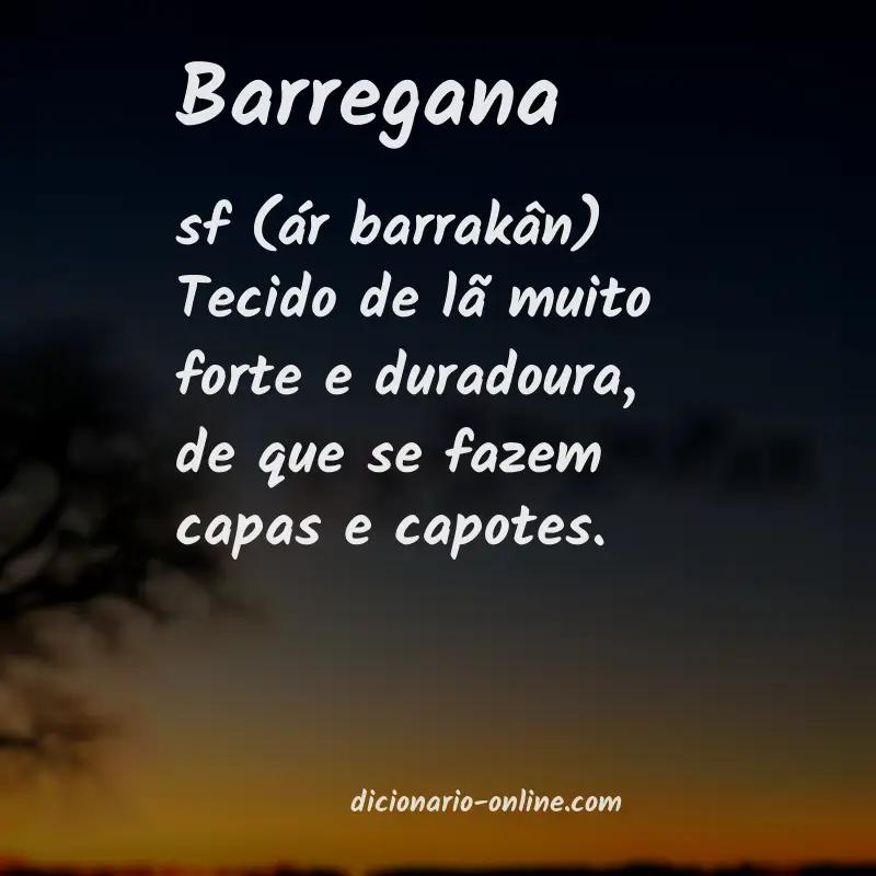 Significado de barregana
