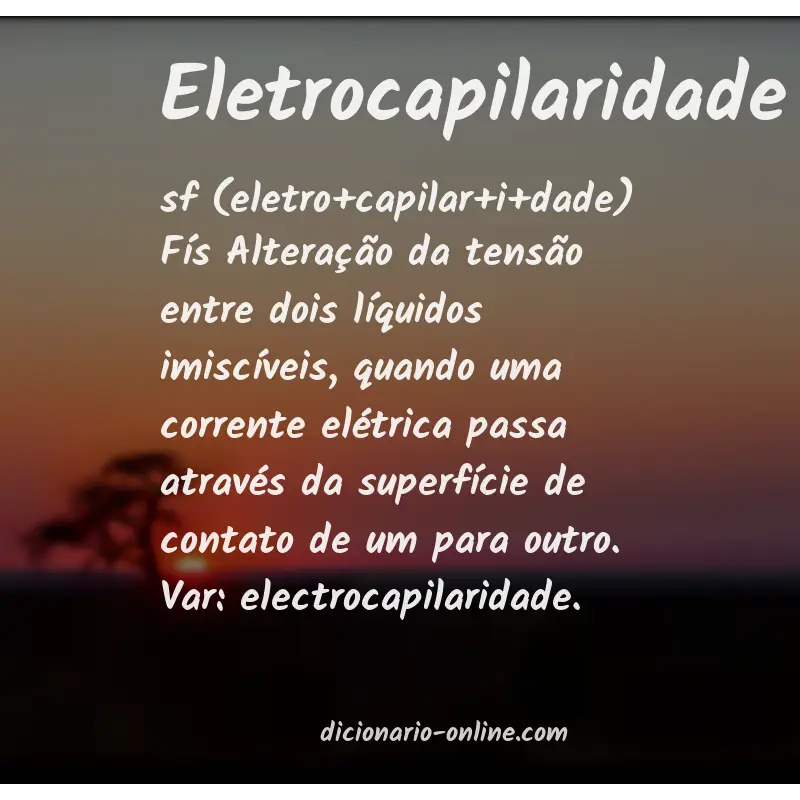 Significado de eletrocapilaridade