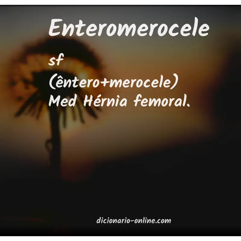 Significado de enteromerocele