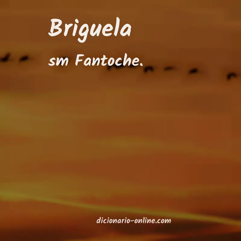 Significado de briguela