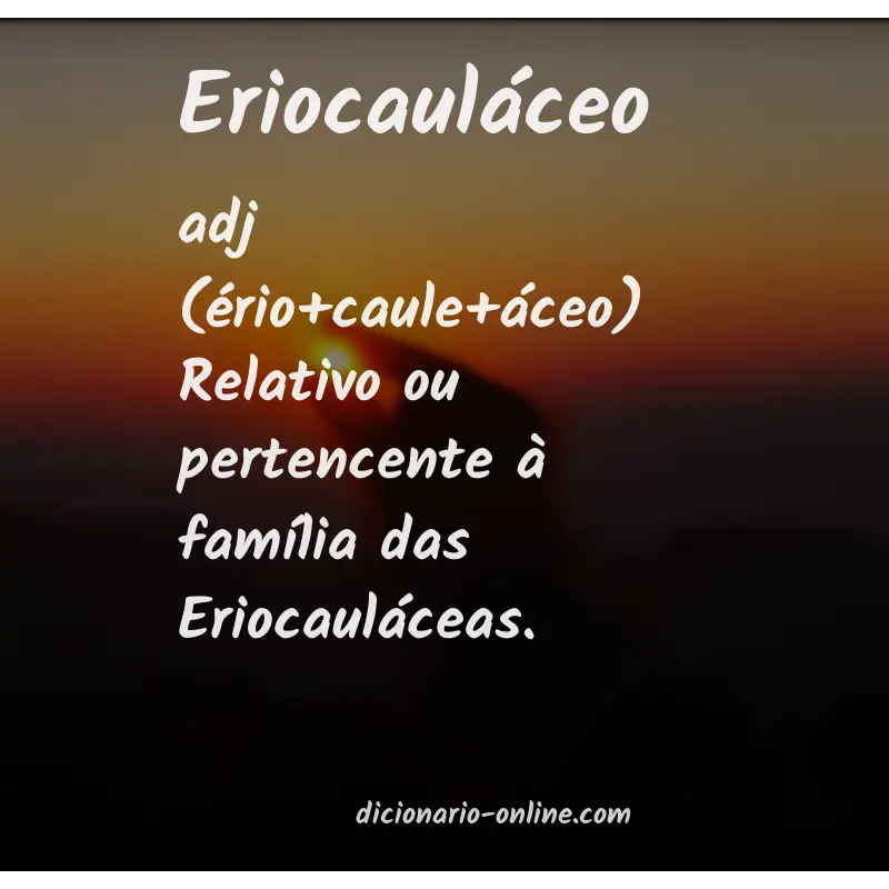 Significado de eriocauláceo