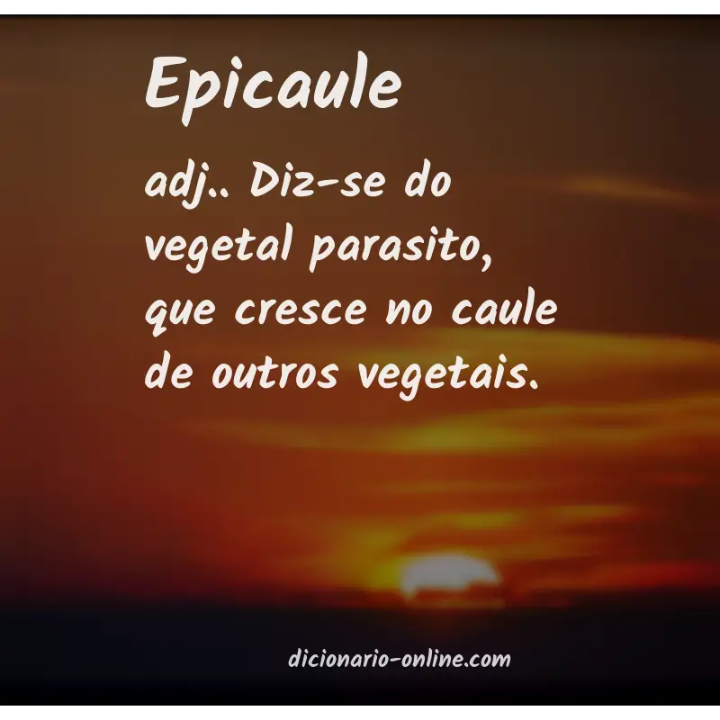 Significado de epicaule