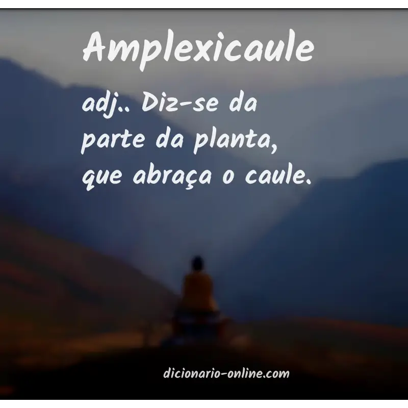 Significado de amplexicaule