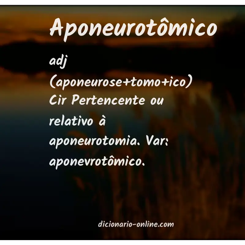 Significado de aponeurotômico