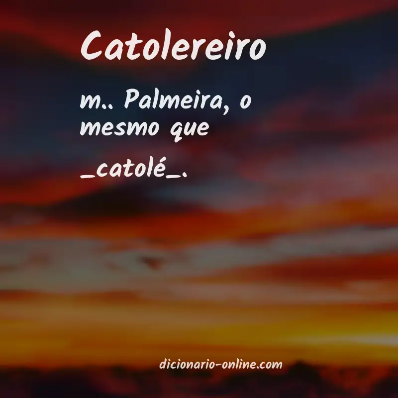 Significado de catolereiro