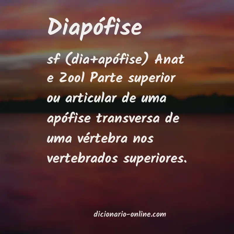 Significado de diapófise