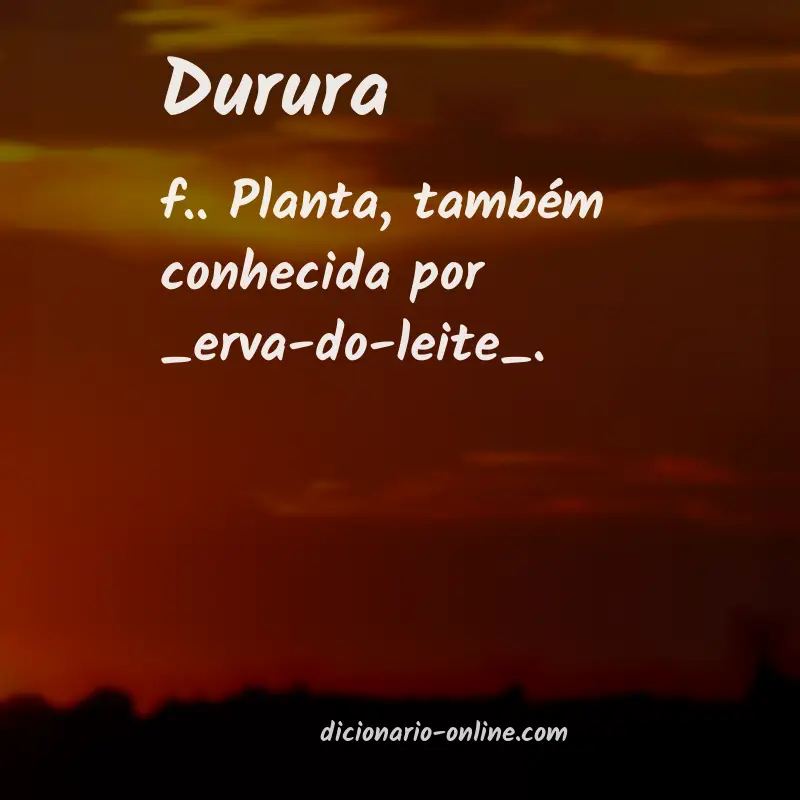 Significado de durura