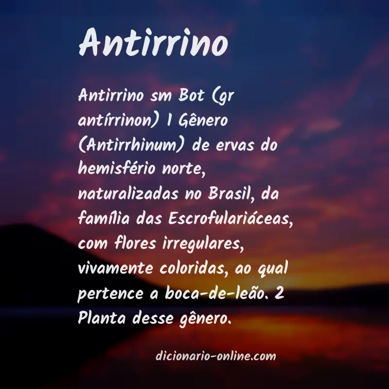 Significado de antirrino
