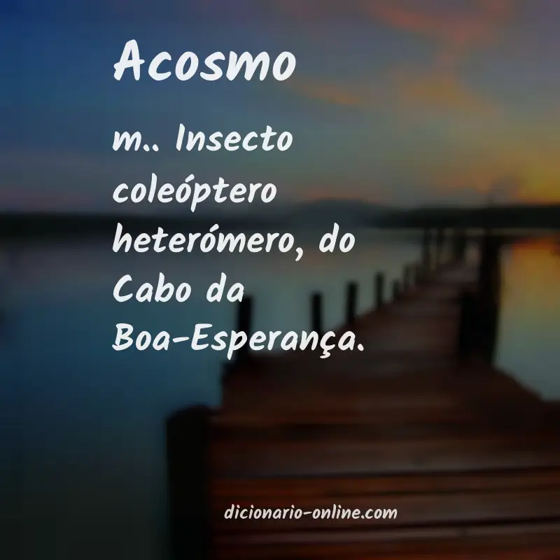 Significado de acosmo