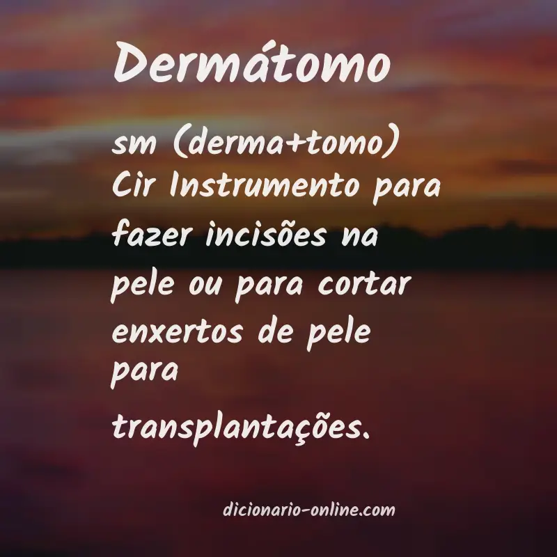 Significado de dermátomo