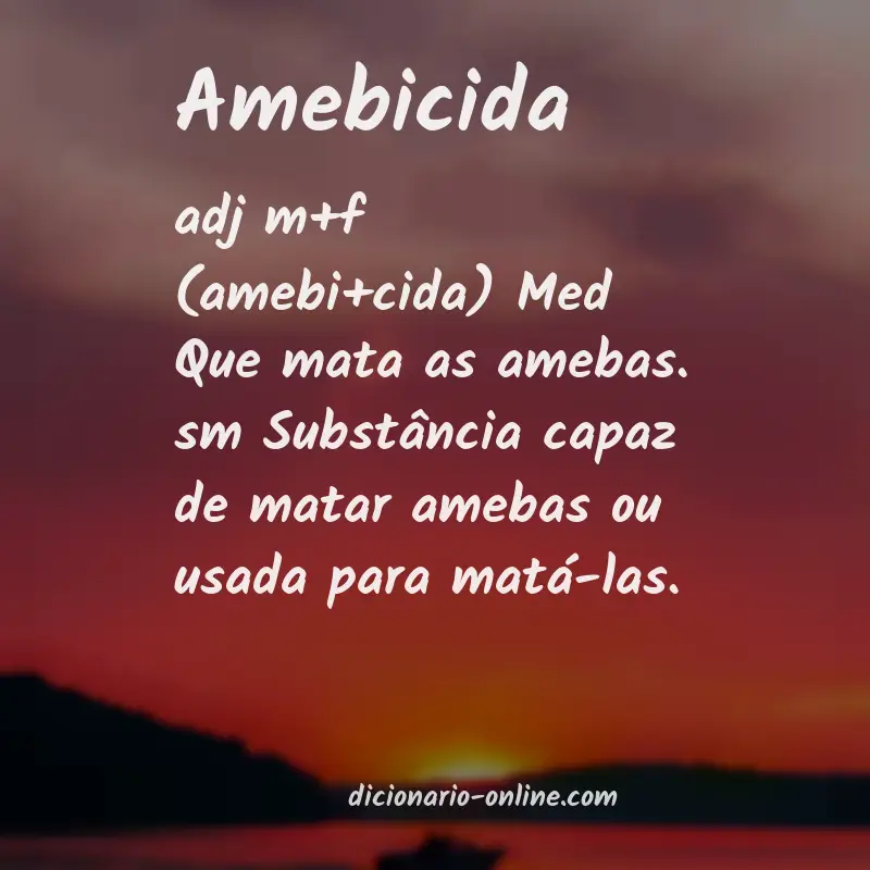 Significado de amebicida
